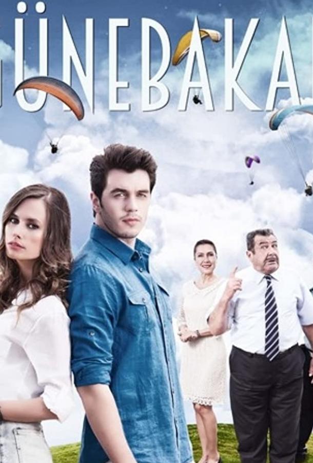 Подробнее о турецком сериале «Подсолнух»